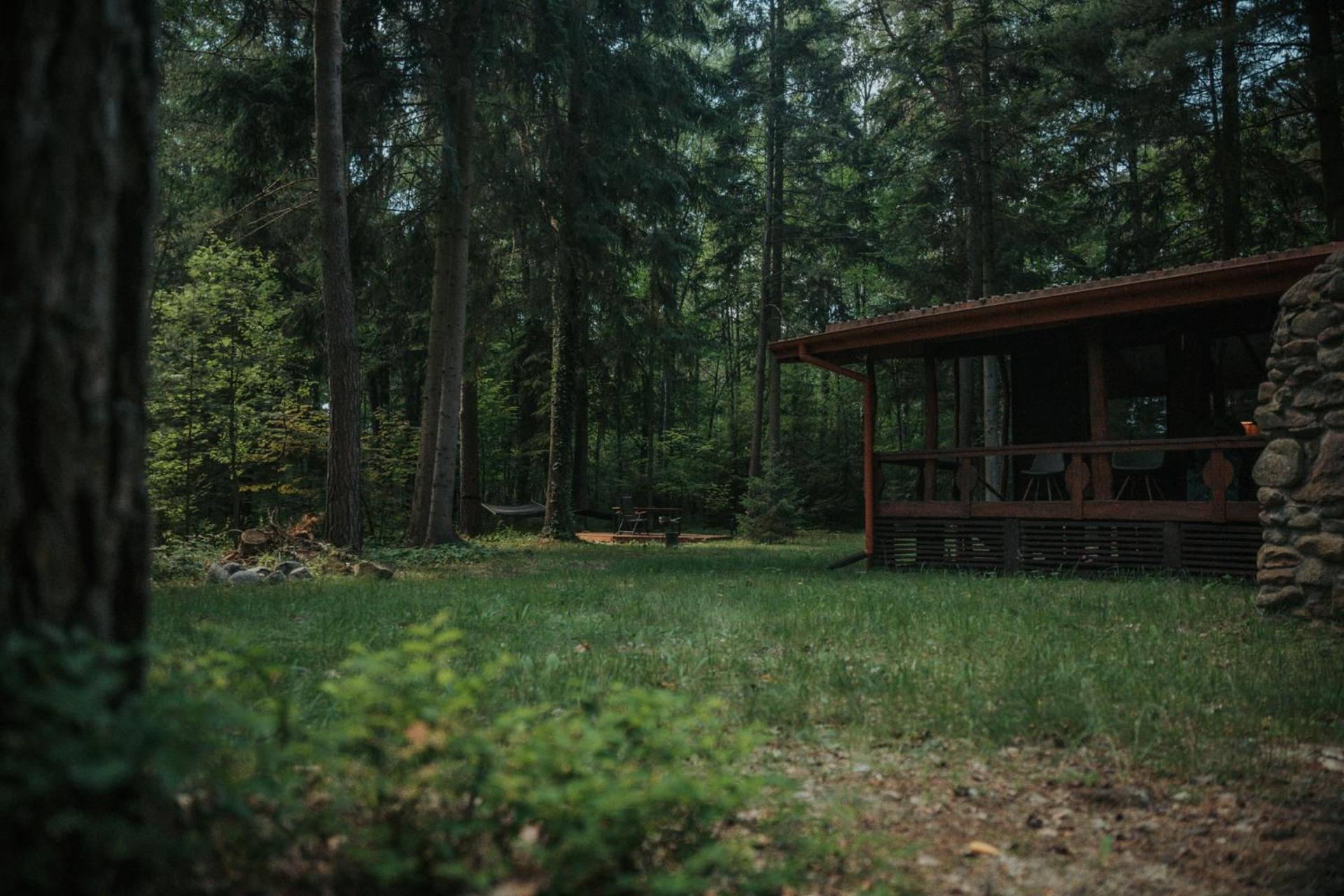 Forest Cabin - 50Min Od Warszawy Wola Polska Exteriör bild