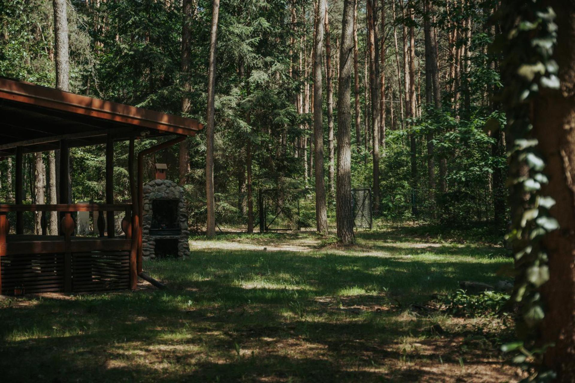 Forest Cabin - 50Min Od Warszawy Wola Polska Exteriör bild