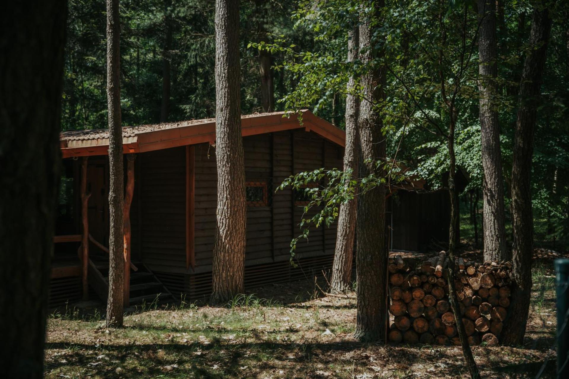 Forest Cabin - 50Min Od Warszawy Wola Polska Exteriör bild