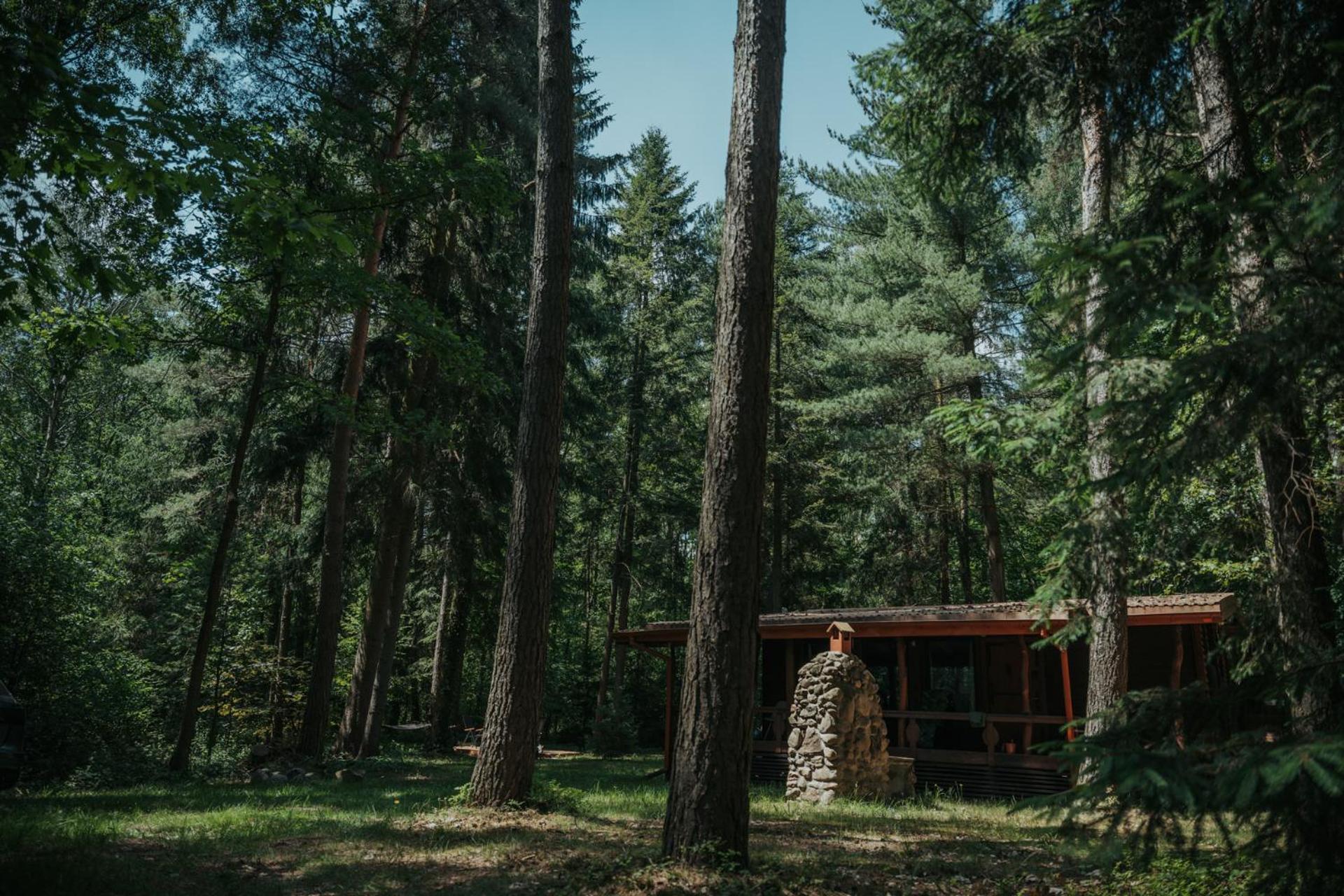 Forest Cabin - 50Min Od Warszawy Wola Polska Exteriör bild