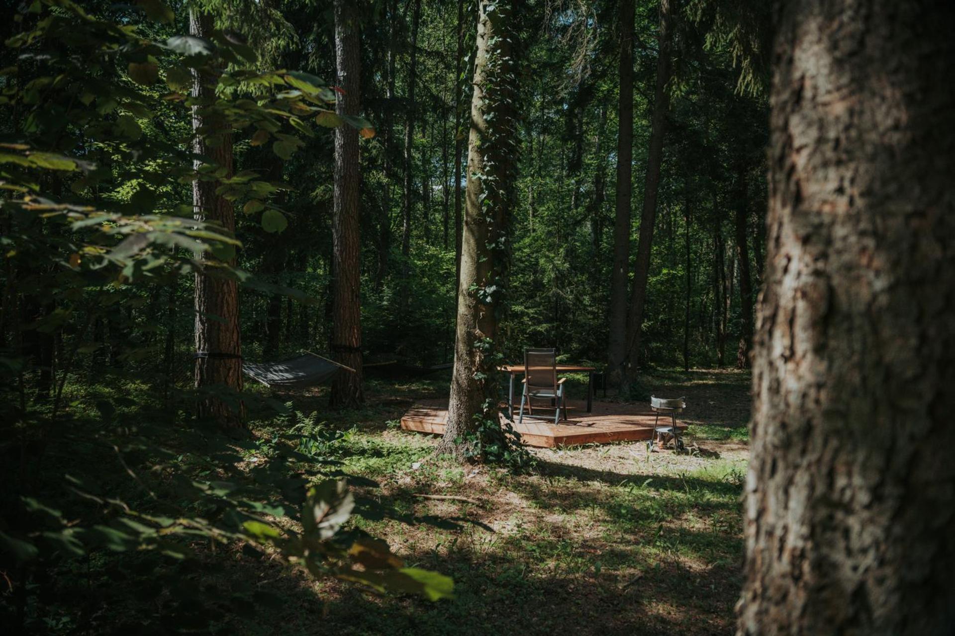 Forest Cabin - 50Min Od Warszawy Wola Polska Exteriör bild