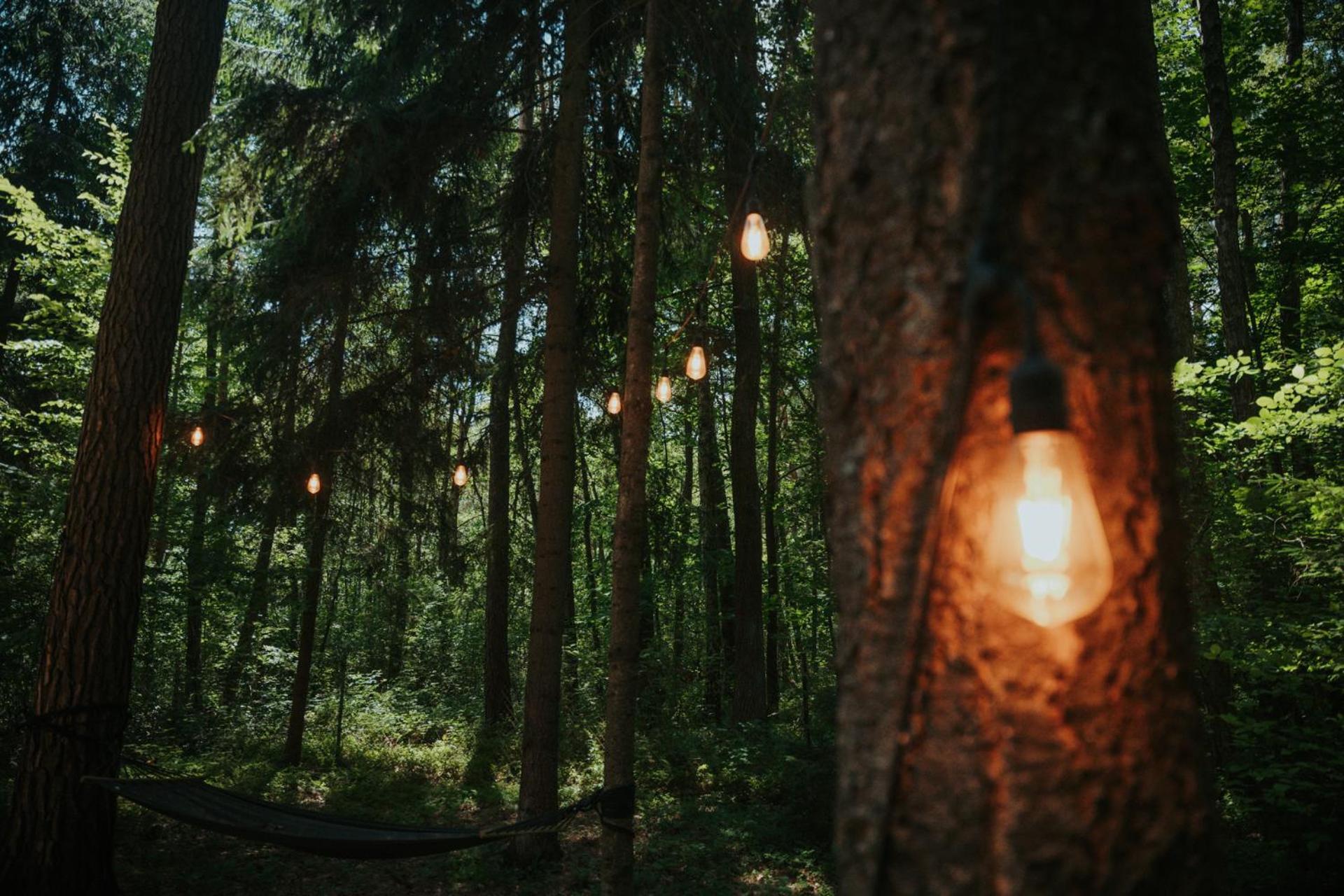 Forest Cabin - 50Min Od Warszawy Wola Polska Exteriör bild