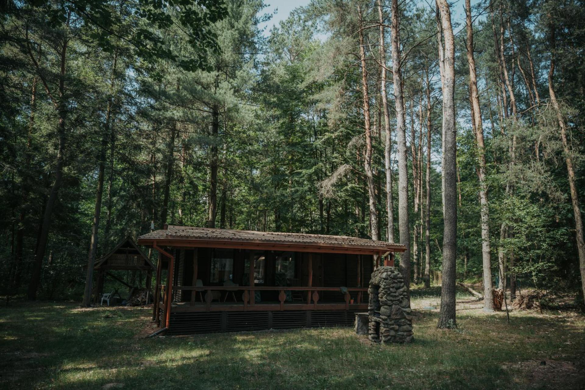 Forest Cabin - 50Min Od Warszawy Wola Polska Exteriör bild