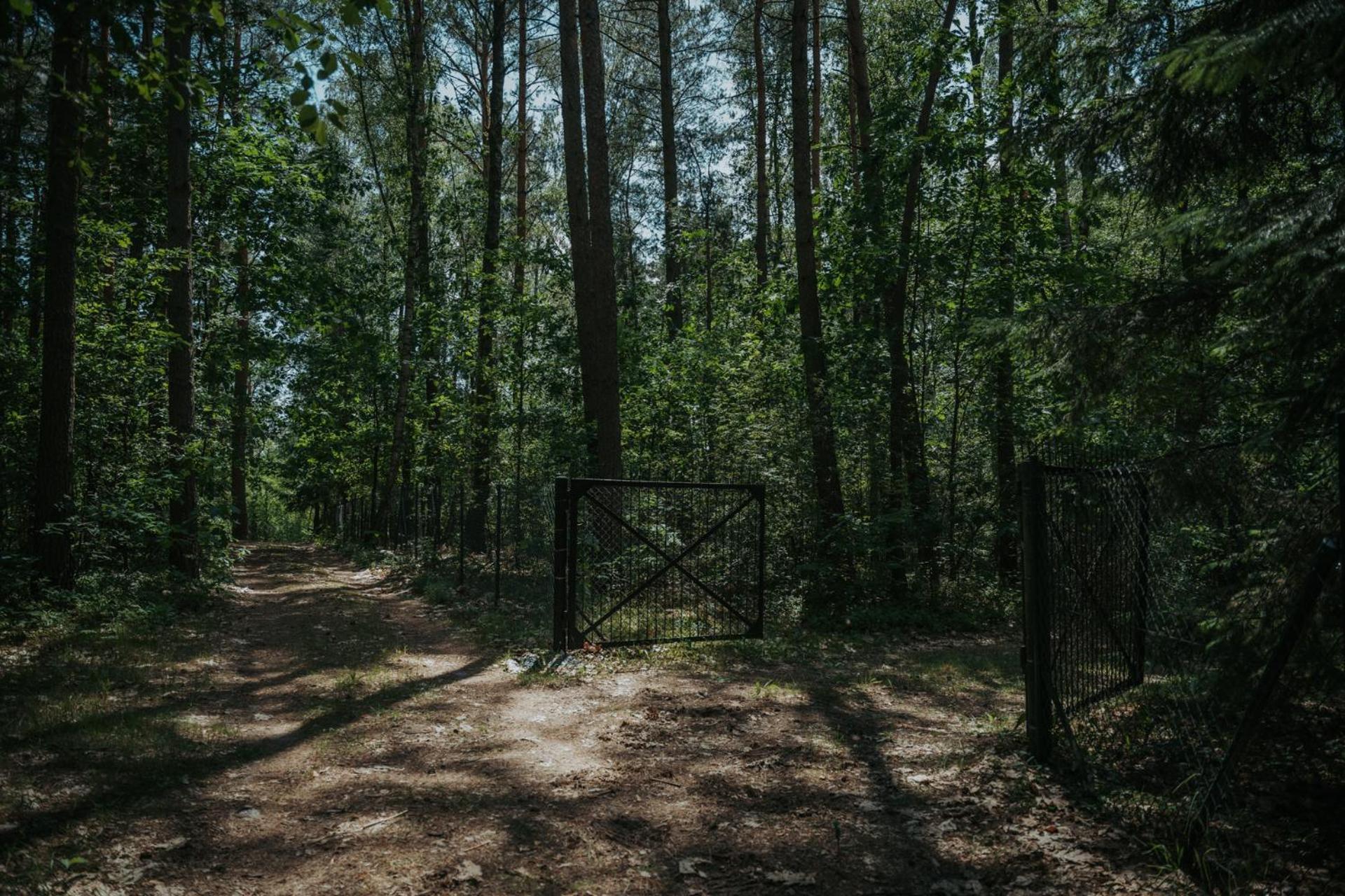 Forest Cabin - 50Min Od Warszawy Wola Polska Exteriör bild